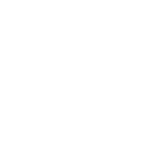 Inflatables Icon